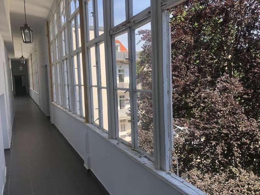 Paraderma Apartment Im Zentrum Baden Bei Wien 외부 사진